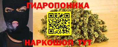 spice Боровичи