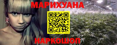 spice Боровичи