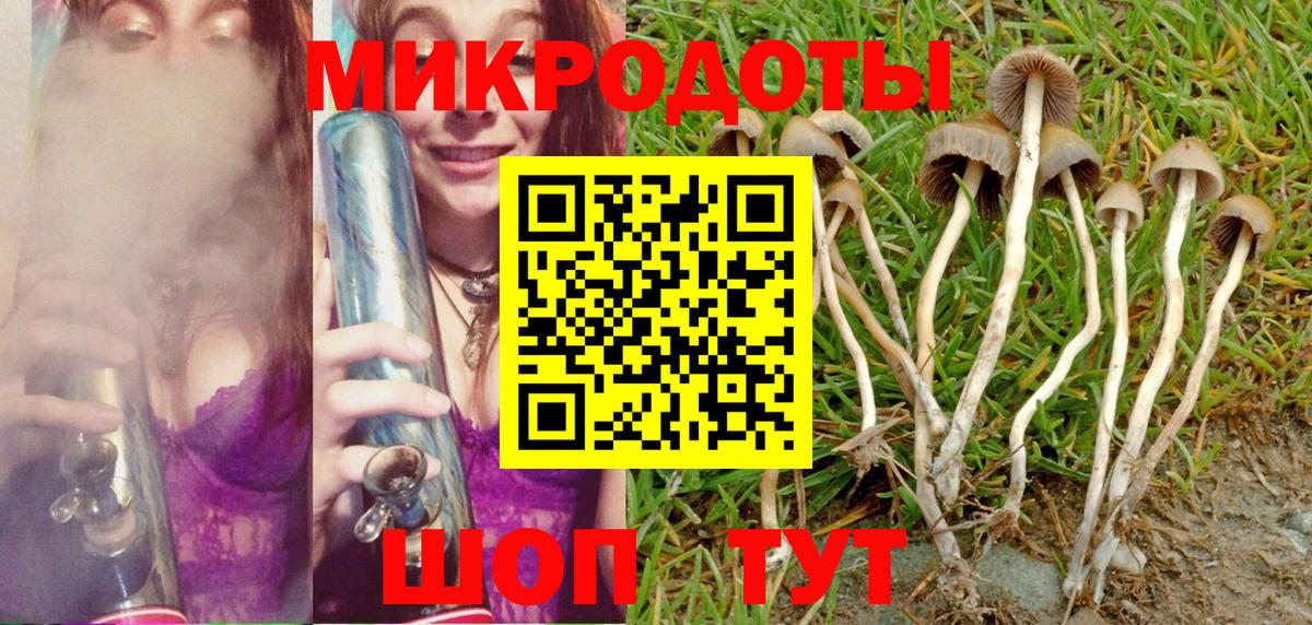 Псилоцибиновые грибы ЛСД  Галлюциногенные грибы Psilocybine cubensis  что такое наркотик  Вход с VPN  Большой Камень 