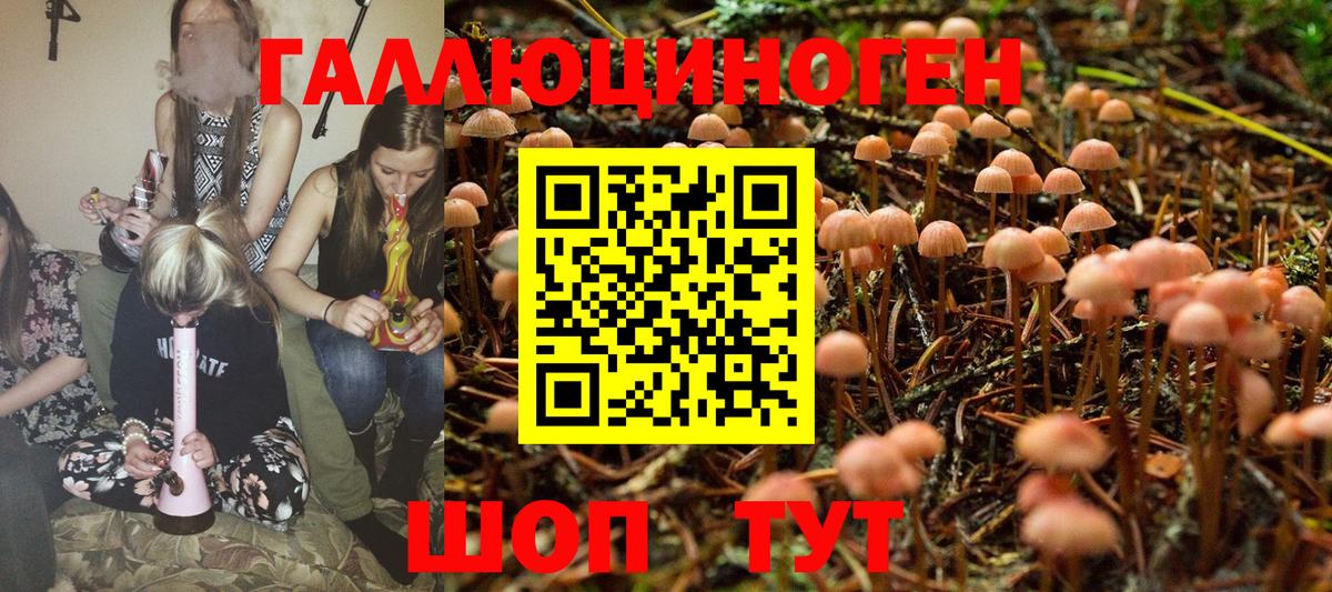 Галлюциногенные грибы мухоморы Большой Камень